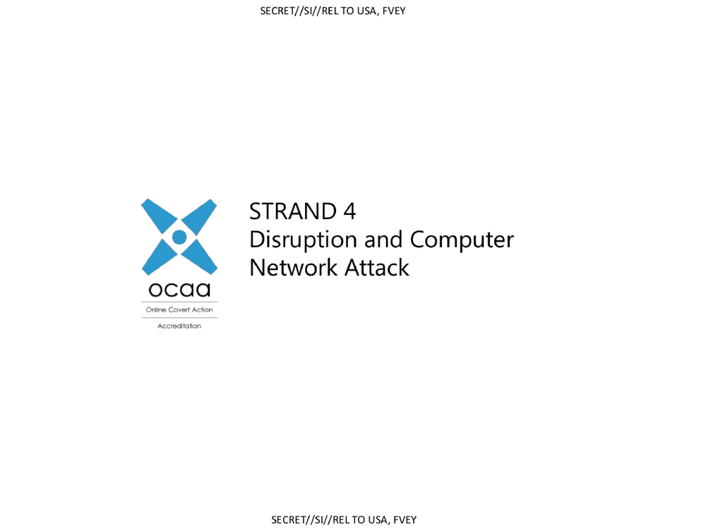 disruption and computer network attack